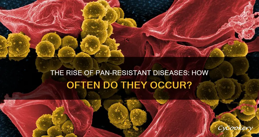 how often do people get pan resistant diease