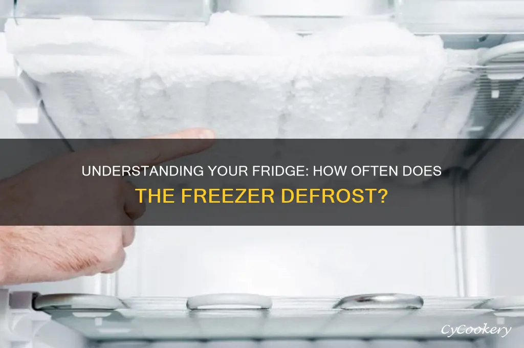 how often do refrigerator freezers do defrost