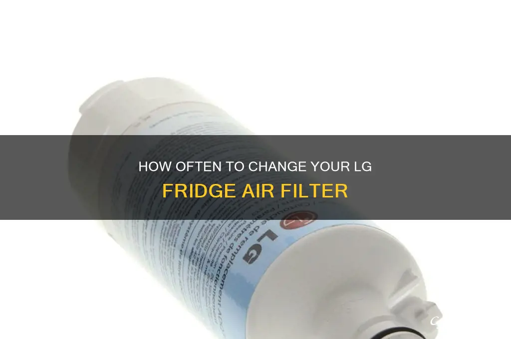 how often do you change lg refrigerator air filter