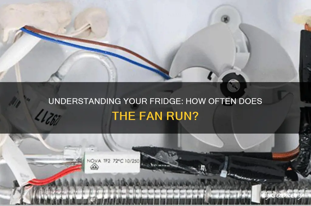 how often does a refrigerator fan run