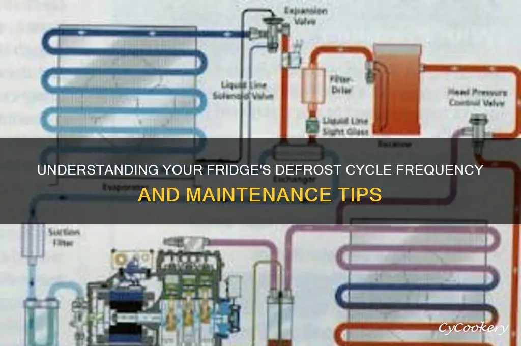 how often does a refrigerator run a defrost cycle