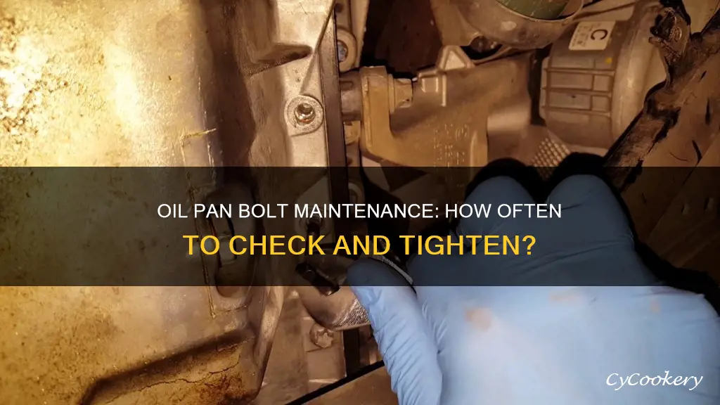 how often does oil pan bolts become loose