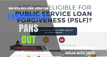 Does Public Service Loan Forgiveness Really Work?