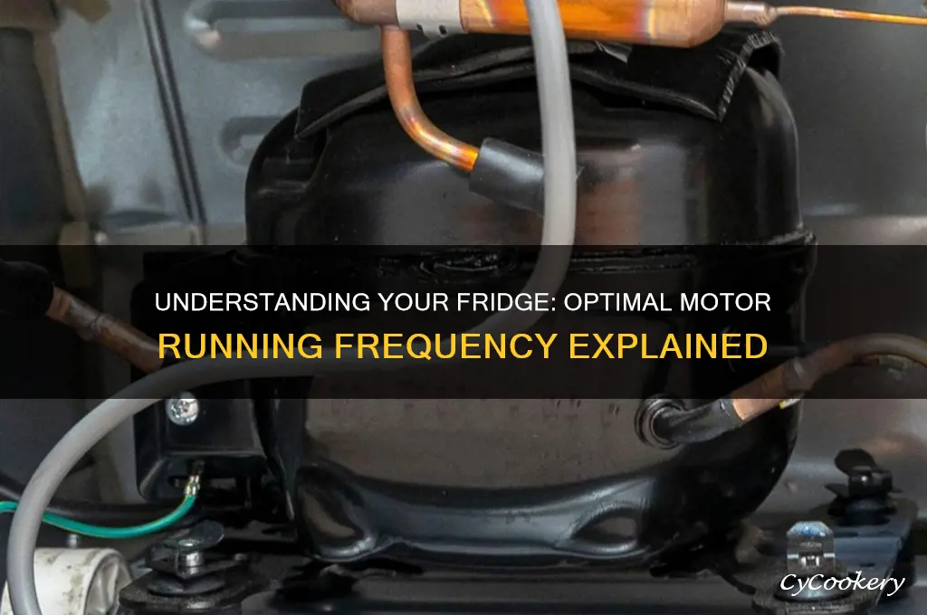 how often should a refrigerator