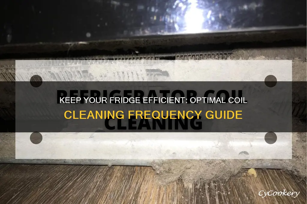 how often should i clean my refrigerator coils