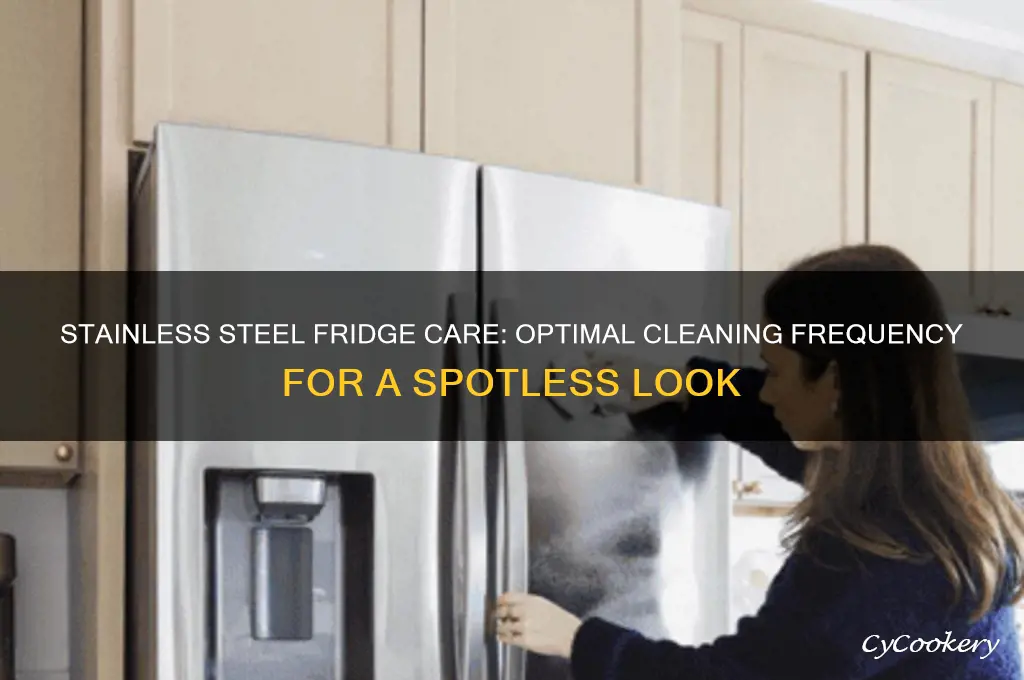 how often should i clean my stainless steel refrigerator