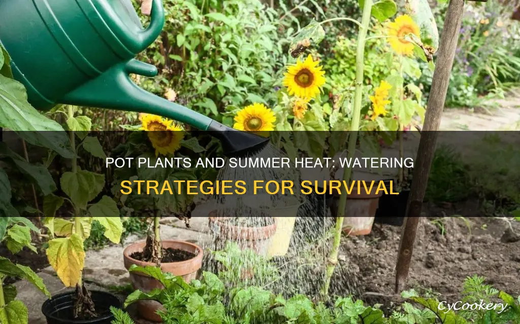 how often should pot plants be watered in hot weather