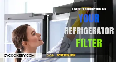 Optimal Refrigerator Filter Cleaning Frequency for Fresh, Safe Food Storage