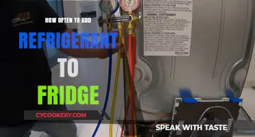 Maintaining Your Fridge: Optimal Refrigerant Refill Frequency Explained