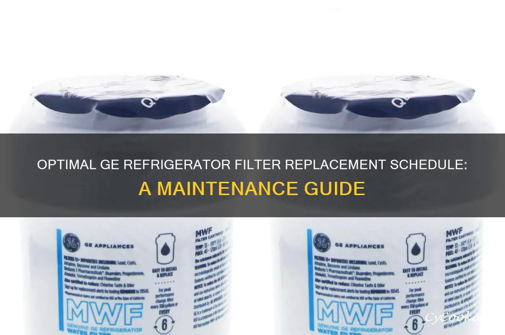 how often to change filter in ge refrigerator