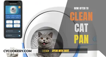 Keep Your Cat Pan Clean: A Regular Routine