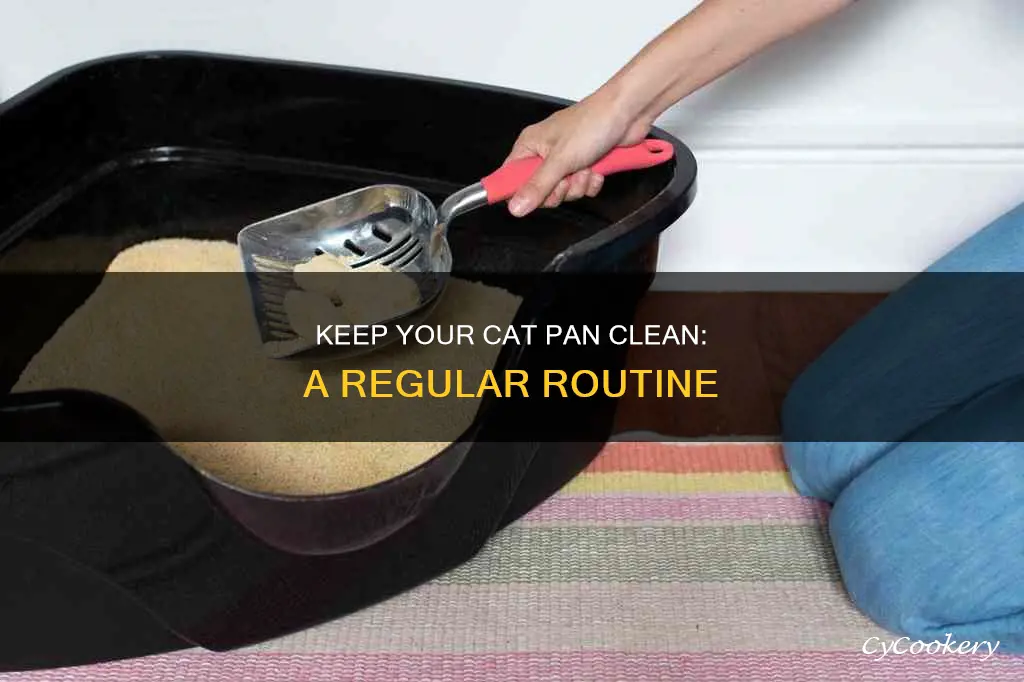 how often to clean cat pan