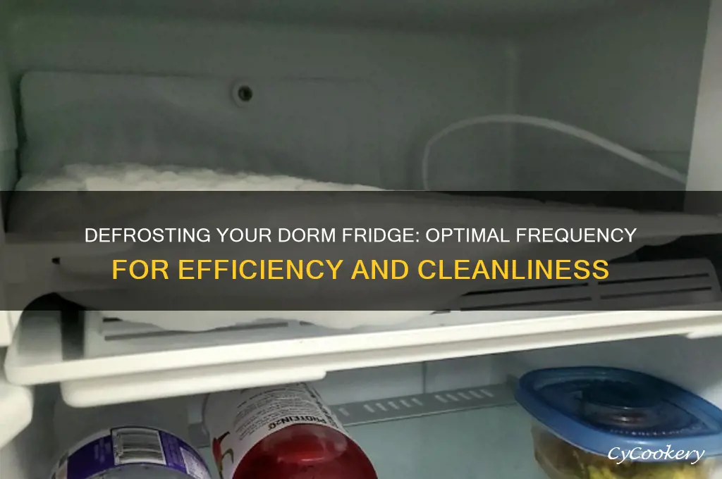 how often to defrost dorm room refrigerator
