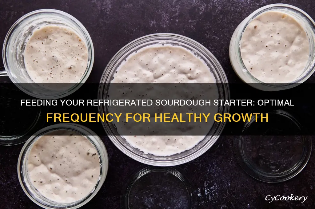 how often to feed refrigerated sourdough starter