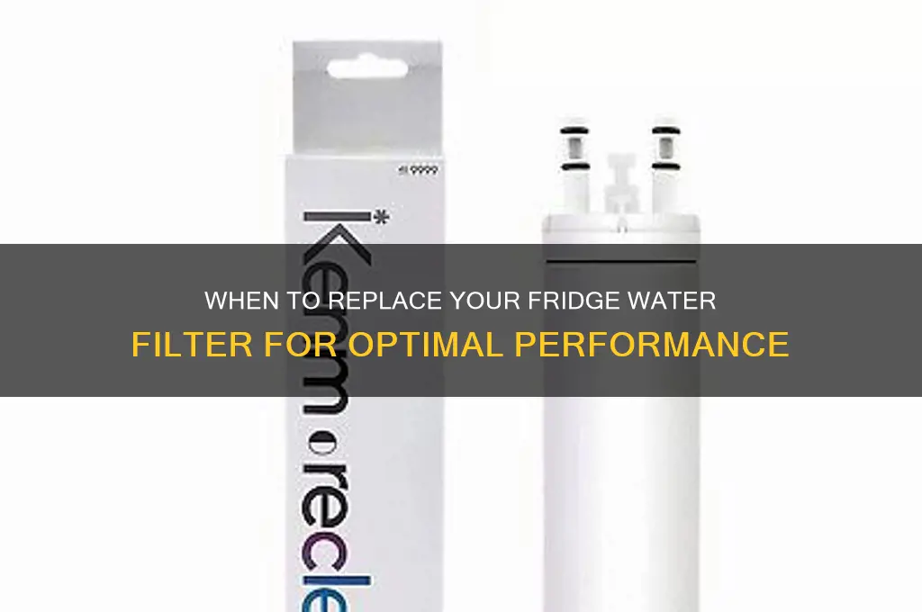 how ofton should you replace your refrigerator waterfliter