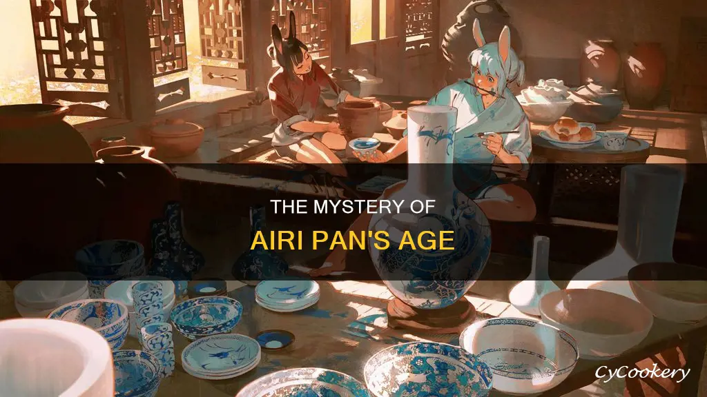 how old is airi pan