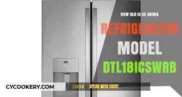 Discover the Age of GE Adora Refrigerator Model DTL18ICSWRB5