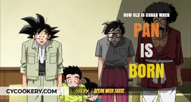 Gohan's Fatherhood: Pan's Birth and Gohan's Age