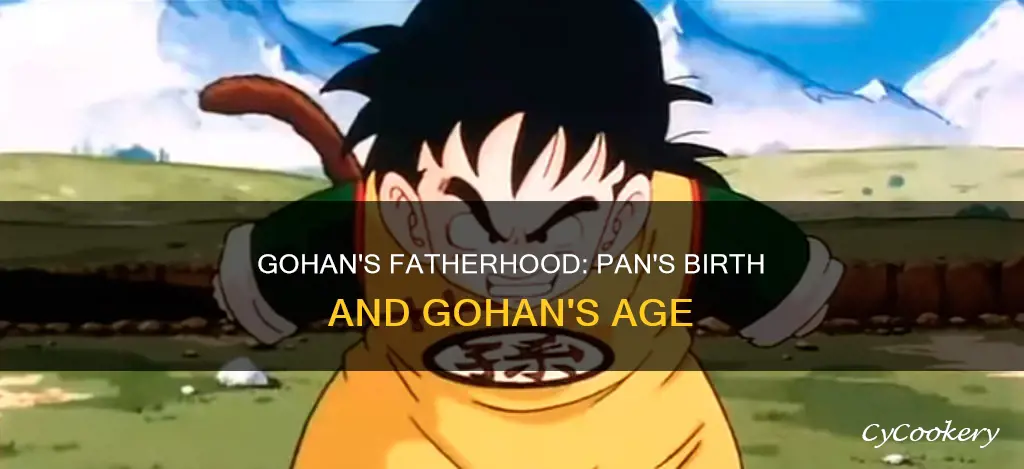 how old is gohan when pan is born