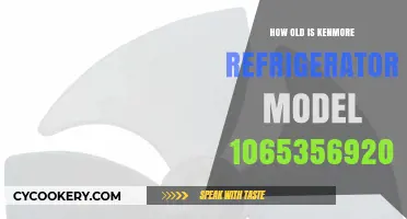 Kenmore Refrigerator Model 10653569202: Age and Lifespan Explained