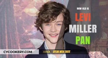 Levi Miller's Pan: A Youthful Adventure