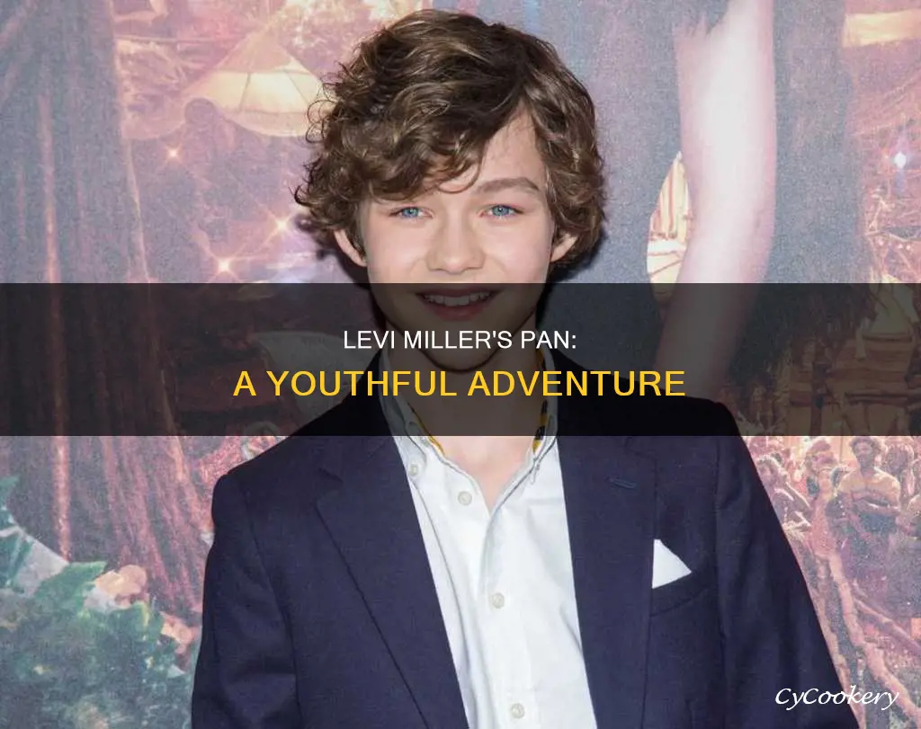 how old is levi miller pan