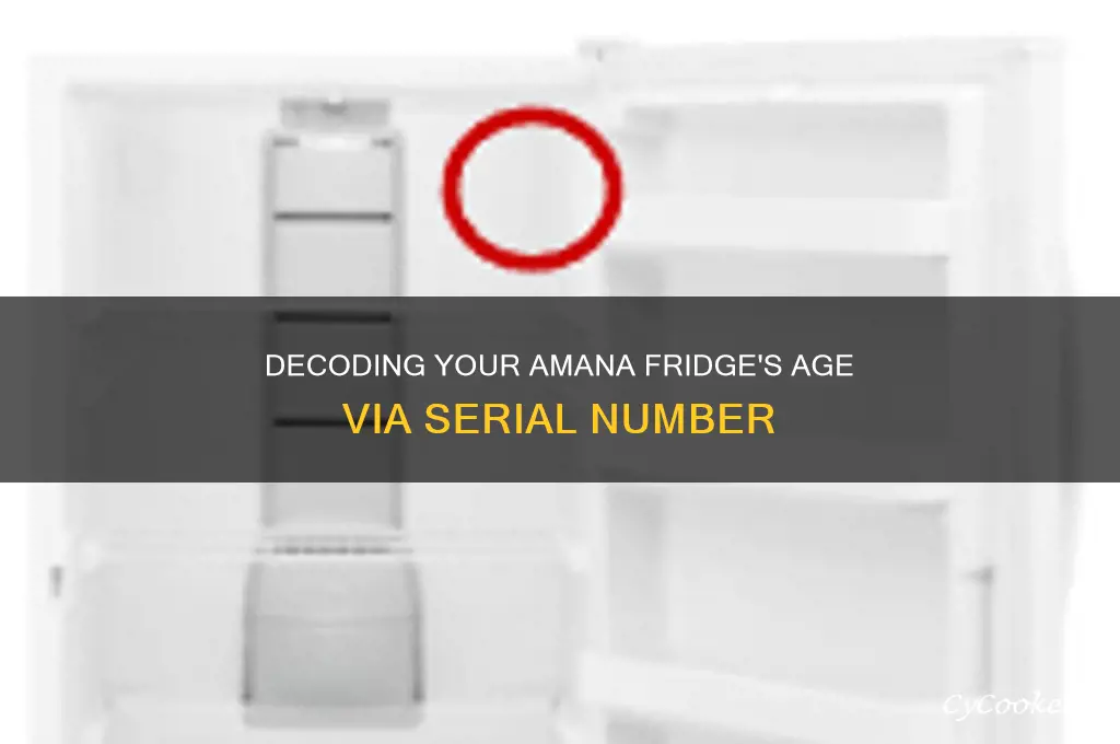how old is my amana refrigerator by serial number
