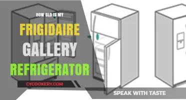 Determining the Age of Your Frigidaire Gallery Refrigerator: A Guide