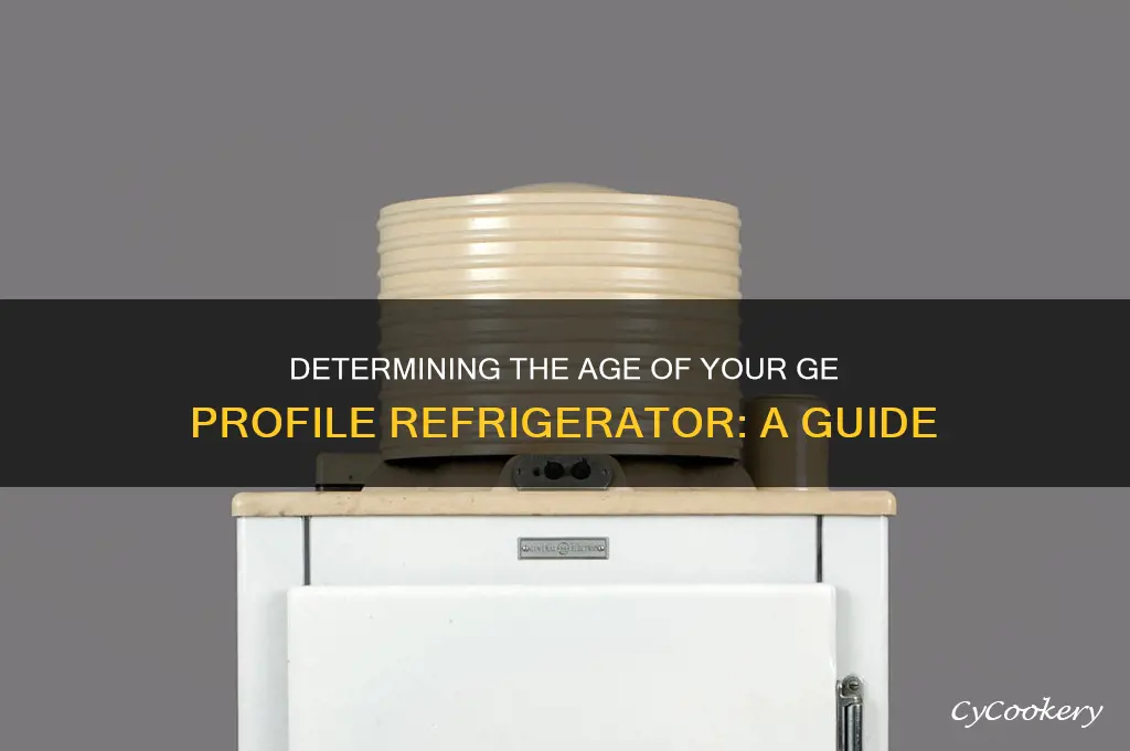 how old is my ge profile refrigerator
