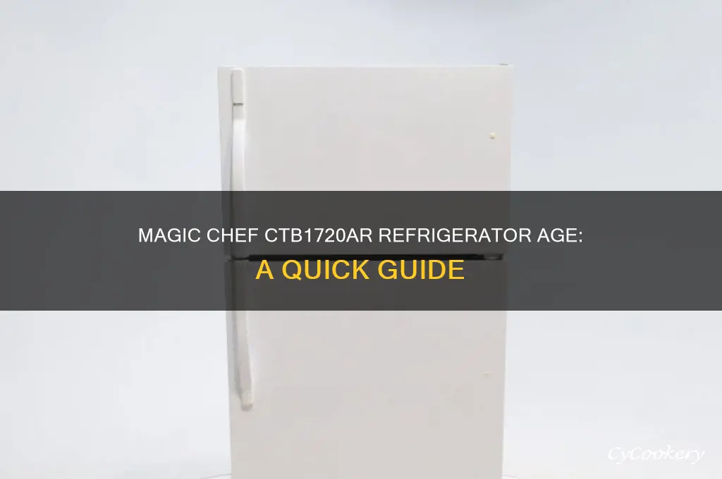 how old is my magic chef ctb1720ar refrigerator