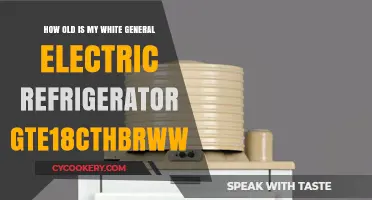 Determining the Age of Your GE GTE18CTHBRWW Refrigerator: A Guide