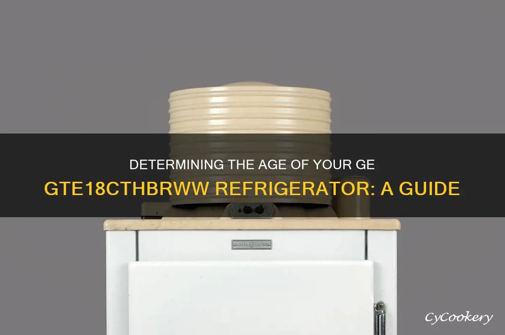 how old is my white general electric refrigerator gte18cthbrww