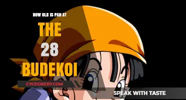 Exploring Pan's Age Mystery in 28 Budekoi