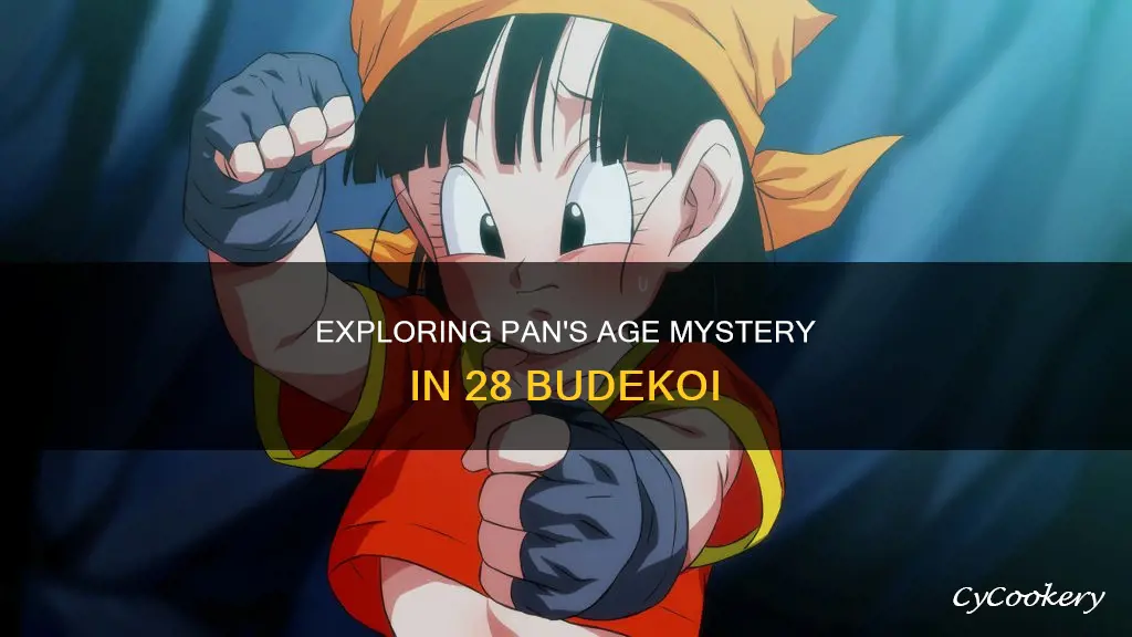 how old is pan at the 28 budekoi