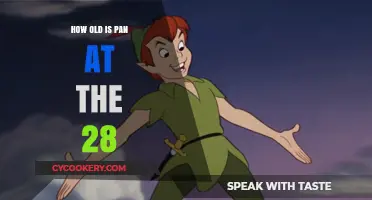 Pan at 28: A Young Man's Journey
