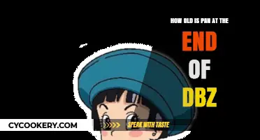 Exploring Pan's Age: The End of DBZ