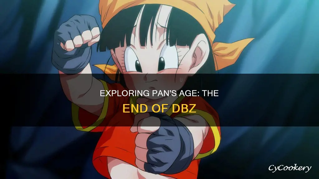 how old is pan at the end of dbz