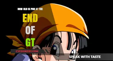 GT: Pan's Age at the End of the Series