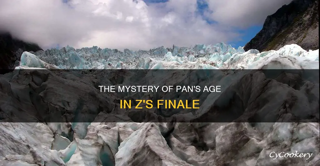 how old is pan at the end of z