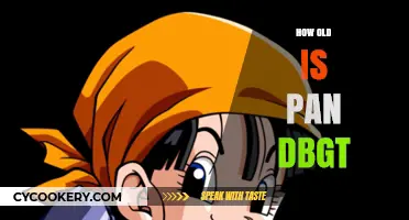 Pan's Age in DBGT: A Mystery Unveiled