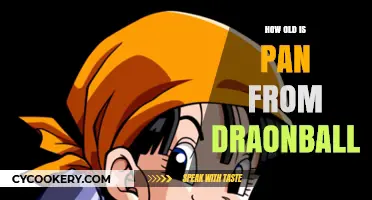 The Mystery of Pan's Age in Dragon Ball