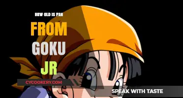 Pan's Age in the Goku Jr. Timeline