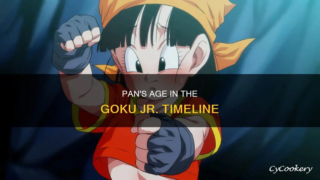 how old is pan from goku jr