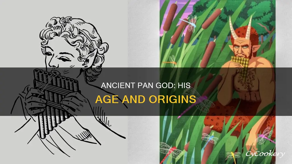 how old is pan god