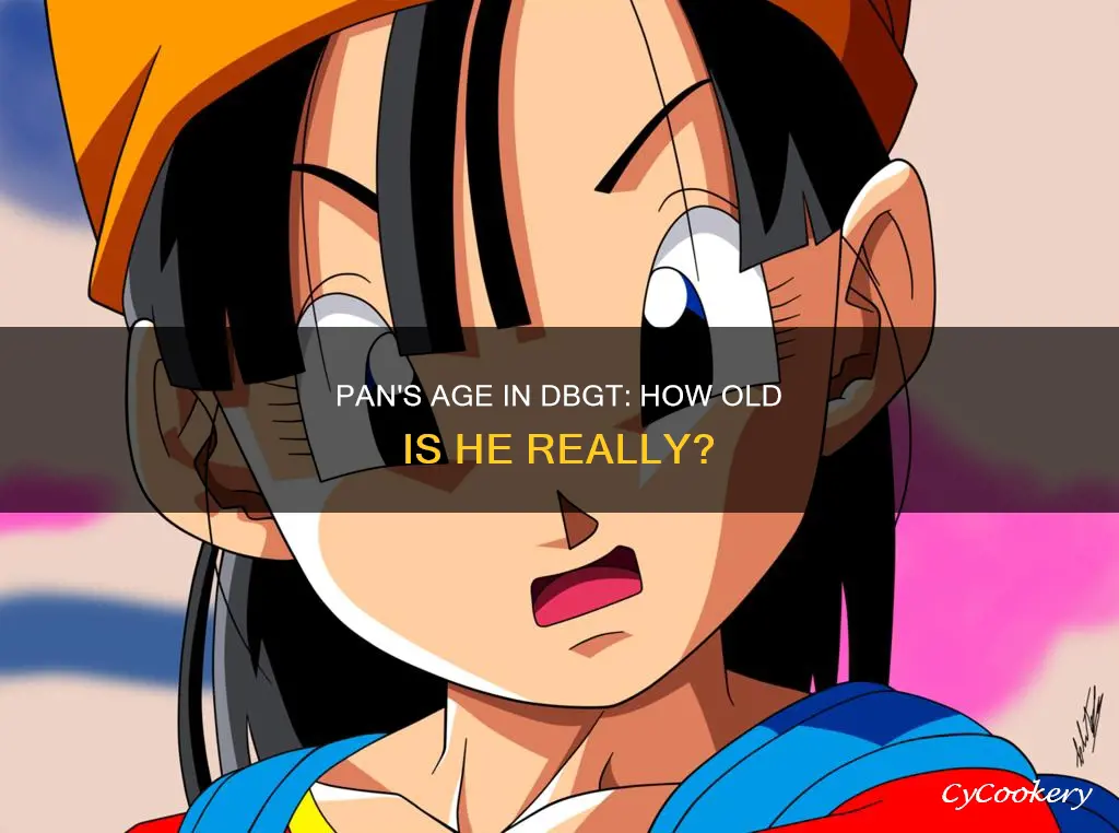 how old is pan in dbgt