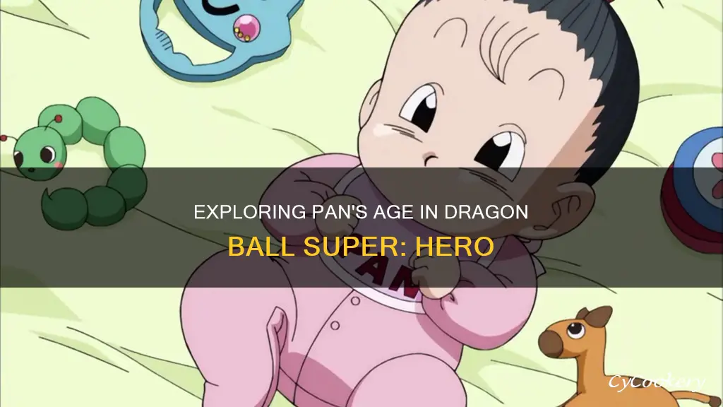 how old is pan in dbs super hero