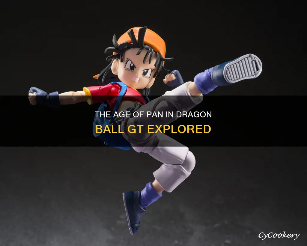 how old is pan in dragon ball gt
