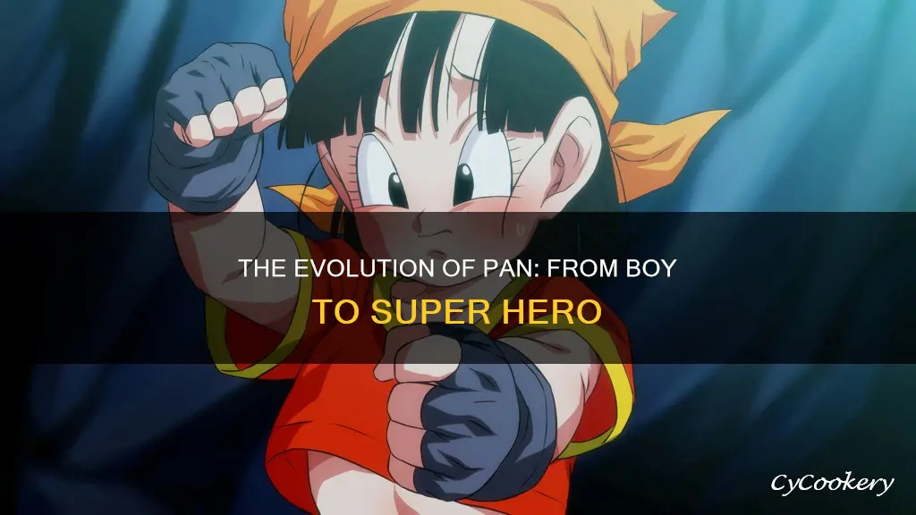 how old is pan in super hero