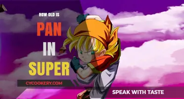 The Evolution of Pan in Dragon Ball Super