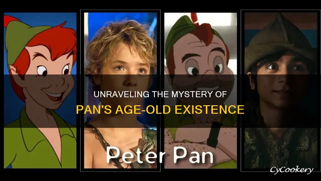 how old is pan